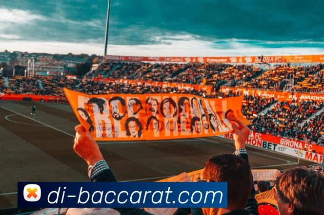 App Interface Preview